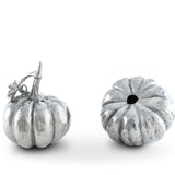 Pumpkin Salt & Pepper Set