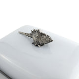 Conch Shell Stoneware Butter Dish